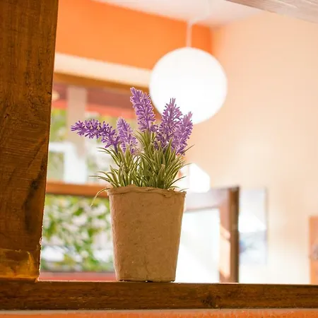 4 Seasons Apartments, A1 Plovdiv